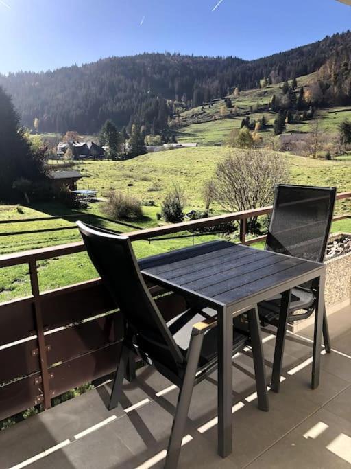 Schwarzwald Loft Menzenschwand Apartment ภายนอก รูปภาพ