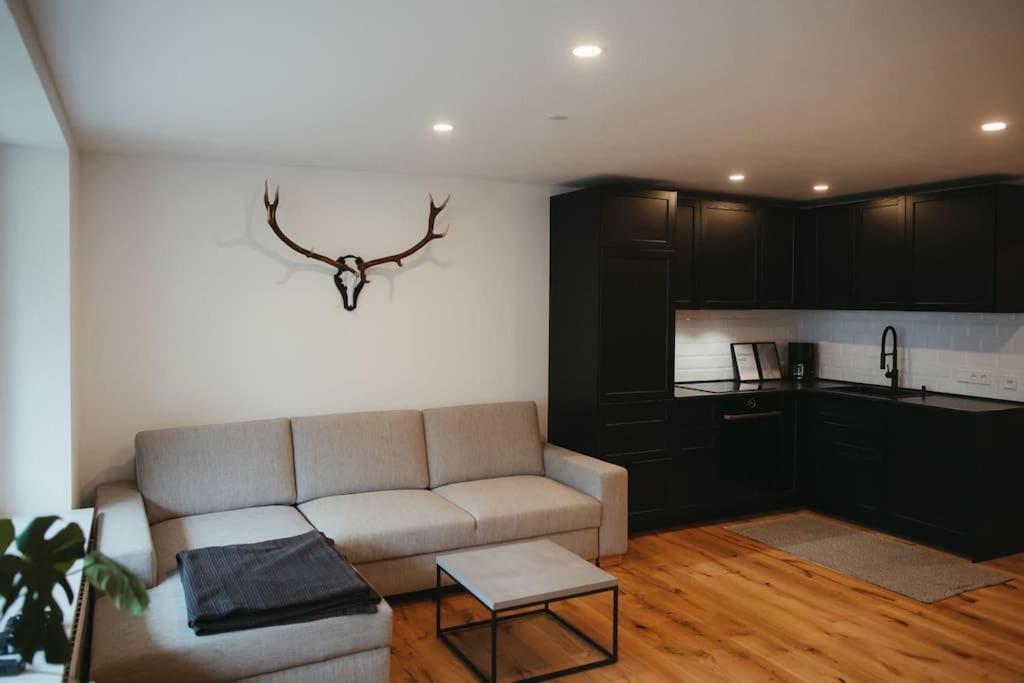 Schwarzwald Loft Menzenschwand Apartment ภายนอก รูปภาพ