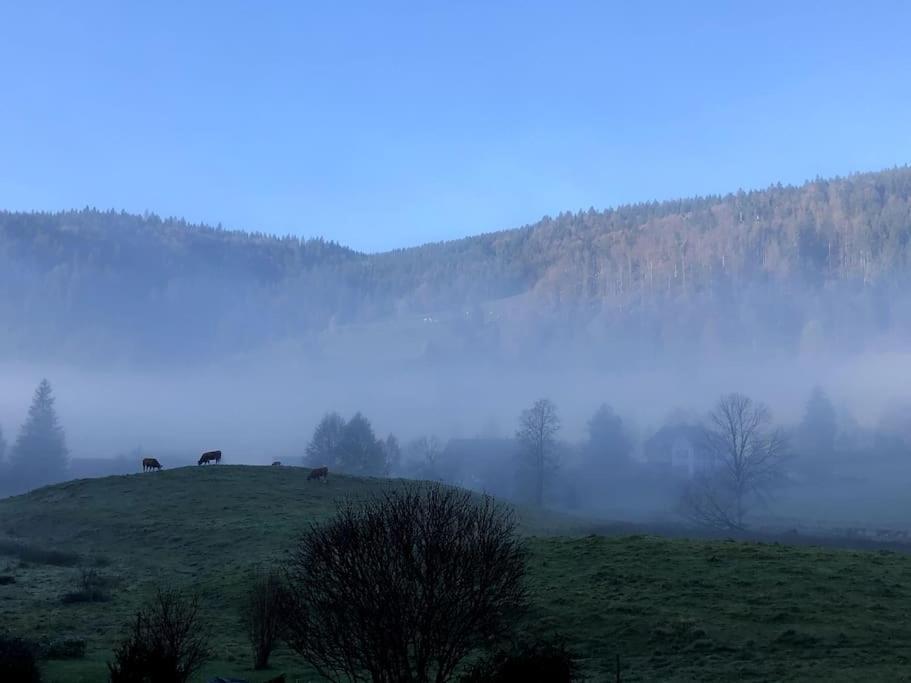 Schwarzwald Loft Menzenschwand Apartment ภายนอก รูปภาพ