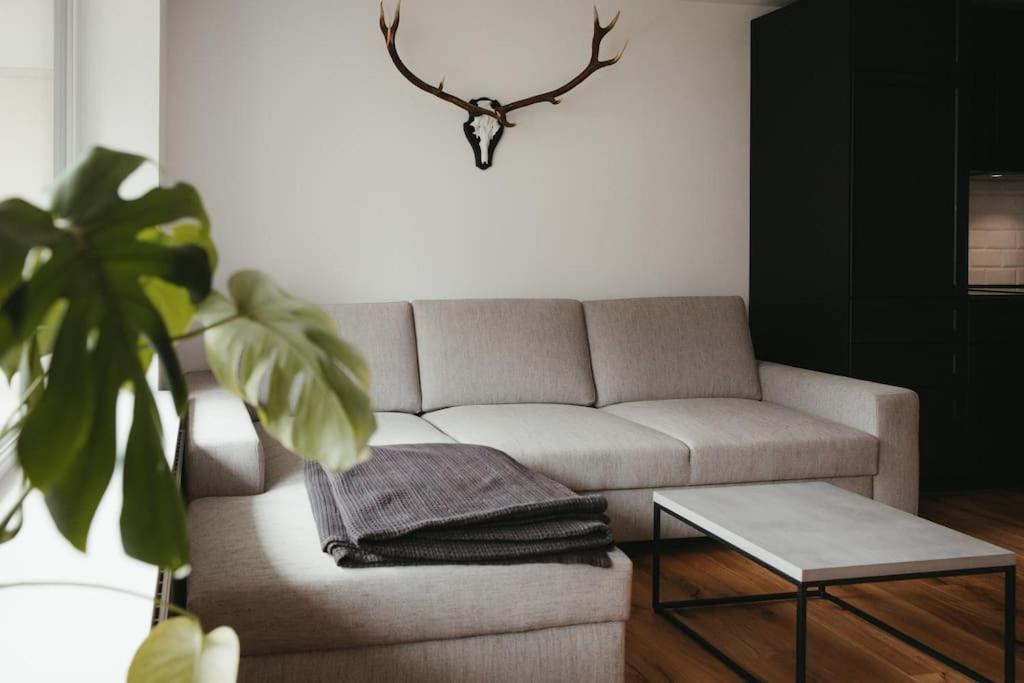 Schwarzwald Loft Menzenschwand Apartment ภายนอก รูปภาพ